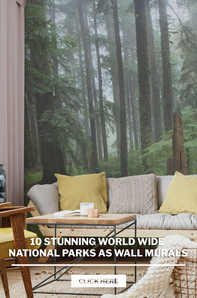 10 PARCS NATIONAUX EXTRAORDINAIRES