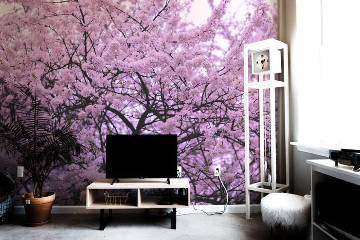 Blossom Tree Wall Mural-Florals,Featured Category of the Month-Eazywallz