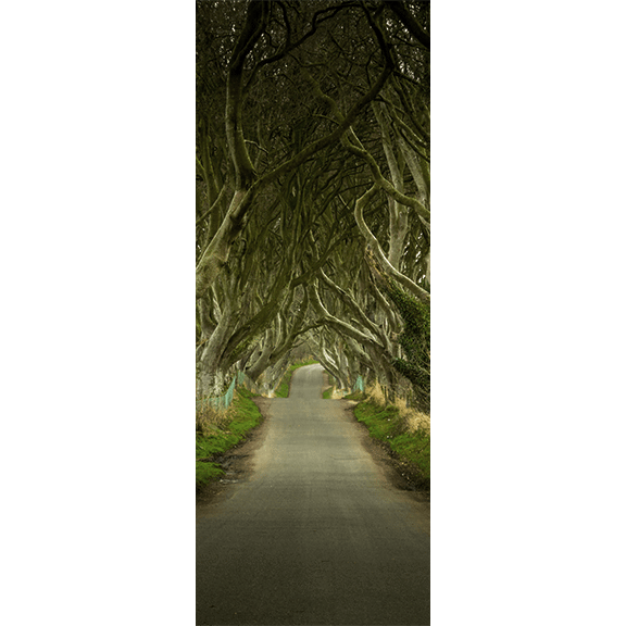 Dark Hedges Pathway Door Mural-Landscapes & Nature-Eazywallz