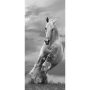 Décor de Porte Grey Horse - Animaux et faune, noir et blanc - Eazywallz                                