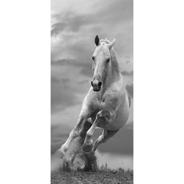 Décor de Porte Grey Horse - Animaux et faune, noir et blanc - Eazywallz                                