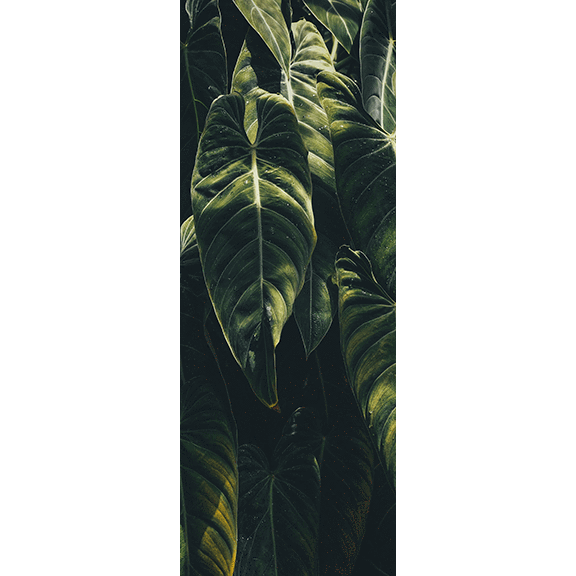 Décor de Porte Jungle Leaf - Paysages et nature - Eazywallz                                