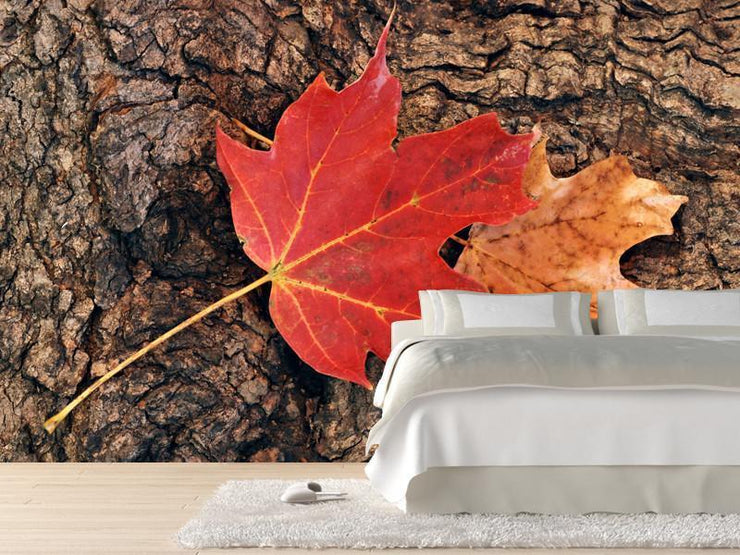 Maple leaves against the bark of a tree Wall Mural-Textures-Eazywallz