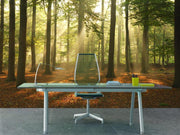 Morning sun Wall Mural-Landscapes & Nature,Best Seller Murals-Eazywallz