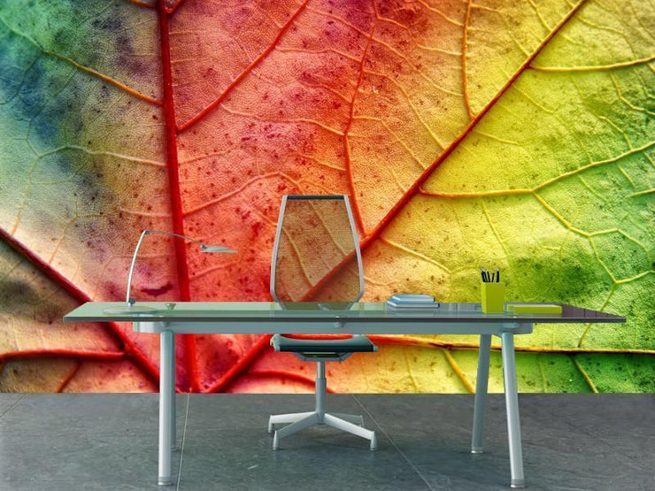 Multicolor leaf Wall Mural-Macro,Textures-Eazywallz
