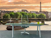 On the Seine river in Paris Wall Mural-Buildings & Landmarks,Cityscapes-Eazywallz