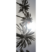 Palm Tree Door Mural-Landscapes & Nature-Eazywallz