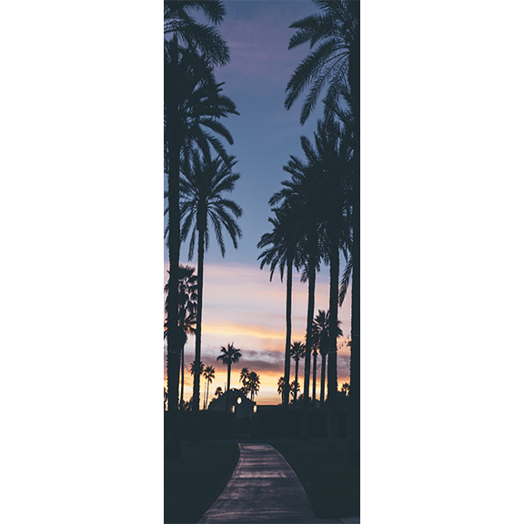 Palm Tree Pathway Door Mural-Tropical & Beach-Eazywallz