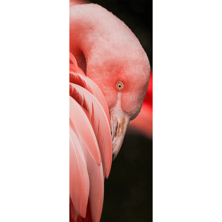 Décor de Porte Flamand Rose - Paysages et nature - Eazywallz
