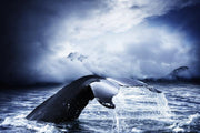 Whale tail Wall Mural-Animals & Wildlife-Eazywallz