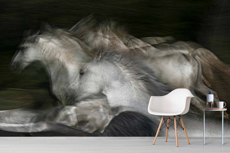 Papier Peint Photo Chevaux Blancs