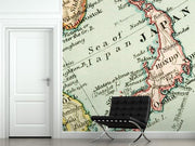 1907 Vintage Japan Map Wall Mural-Maps-Eazywallz