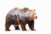 Photo Wallpaper Bear in the Forest