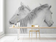 Photo Wallpaper Horses