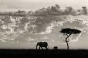 Photo Wallpaper Silhouettes of Mara