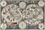 Astrology Planisphere Wall Mural-astrology-Eazywallz