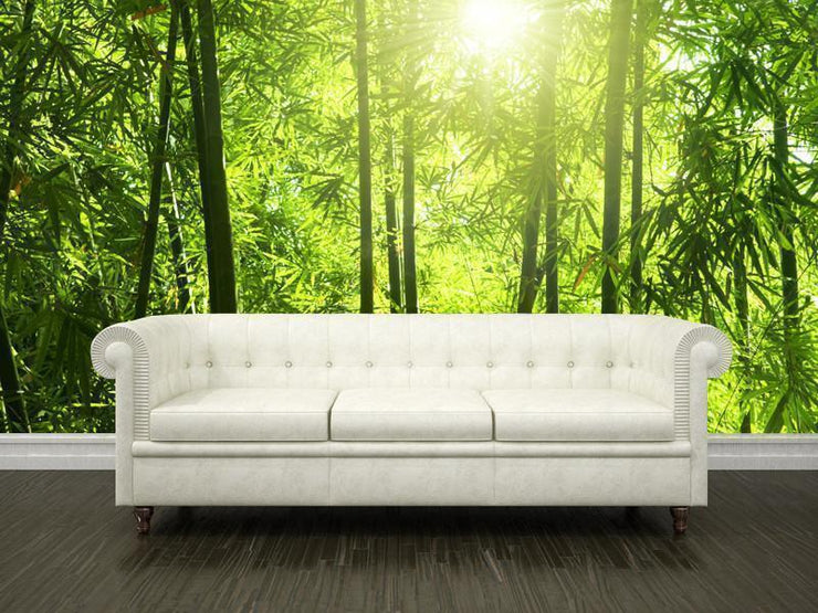 Bamboo forest Wall Mural-Landscapes & Nature,Zen-Eazywallz