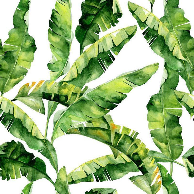 tropical jungle green banana leaf wallpaper wall mural