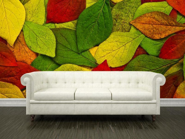 Beautiful leaves Wall Mural-Textures-Eazywallz