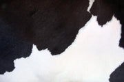 Black and white cowhide Wall Mural-Animals & Wildlife,Textures-Eazywallz