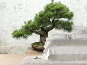 Bonsai tree Wall Mural-Zen-Eazywallz