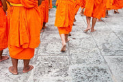 Buddhist monks walking Wall Mural-Zen-Eazywallz