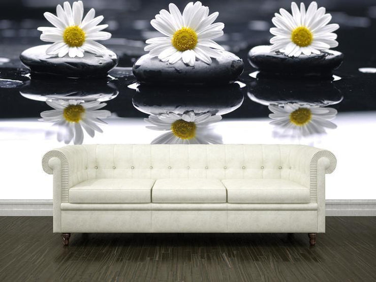 Daisies and pebbles Wall Mural-Florals,Zen,Featured Category of the Month-Eazywallz