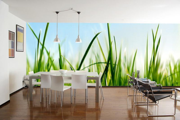 Delicate Grass Wall Mural-Macro,Textures,Panoramic-Eazywallz