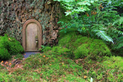 Fairy tale door in a tree Wall Mural-Sci-Fi & Fantasy-Eazywallz