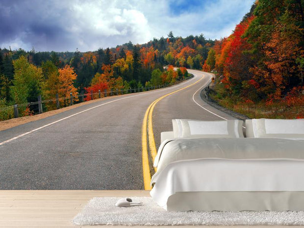 Fall scenic highway Wall Mural-Landscapes & Nature-Eazywallz