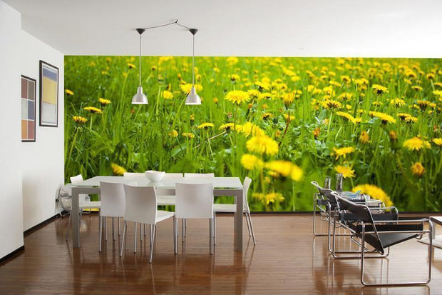 Field of Dandelions Wall Mural-Florals,Landscapes & Nature,Panoramic,Featured Category of the Month-Eazywallz