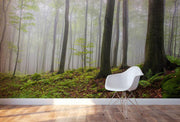 Foggy Forest Hill Wall Mural-Landscapes & Nature-Eazywallz