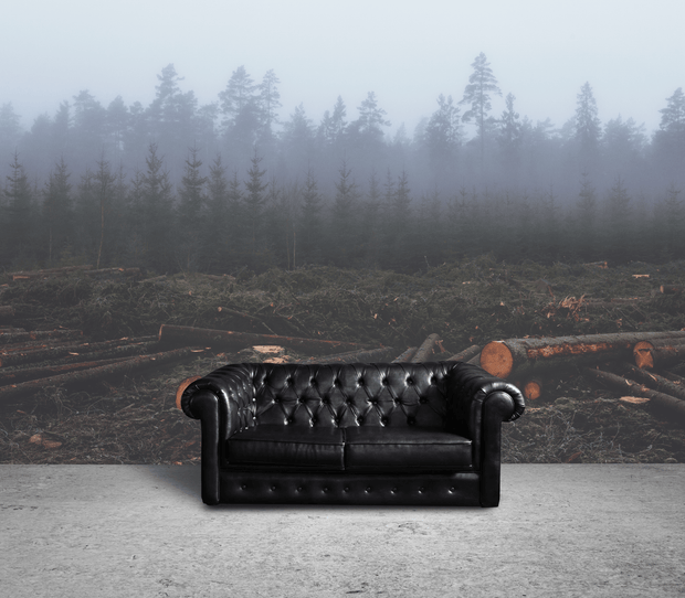 Foggy Lumber Forest Wall Mural-Landscapes & Nature-Eazywallz