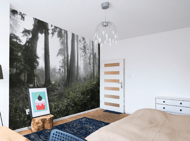 Foggy Vancouver Forest Wall Mural-Landscapes & Nature-Eazywallz