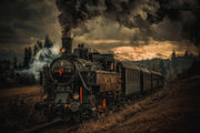Photo Wallpaper Gold Digger Train