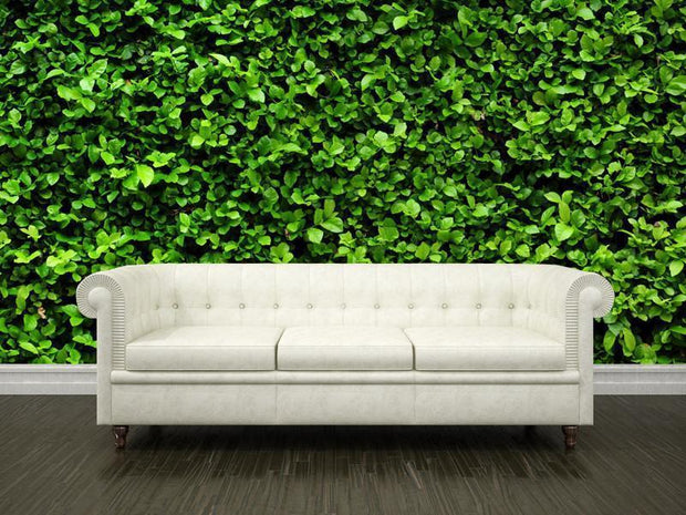 Green bush texture Wall Mural-Textures-Eazywallz