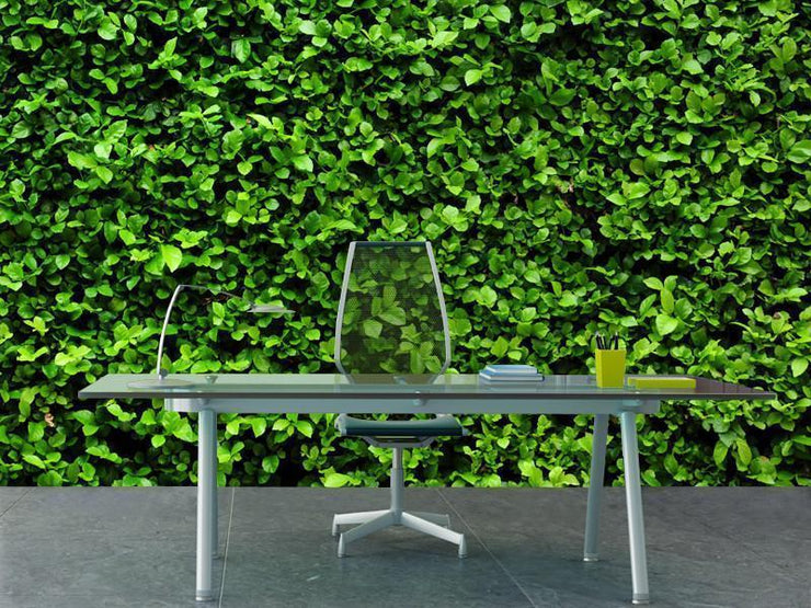 Green bush texture Wall Mural-Textures-Eazywallz