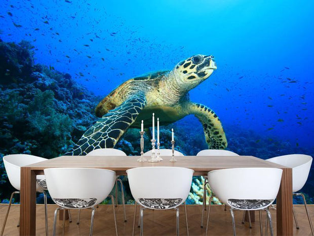 Hawksbill Turtle on a coral reef Wall Mural-Animals & Wildlife-Eazywallz