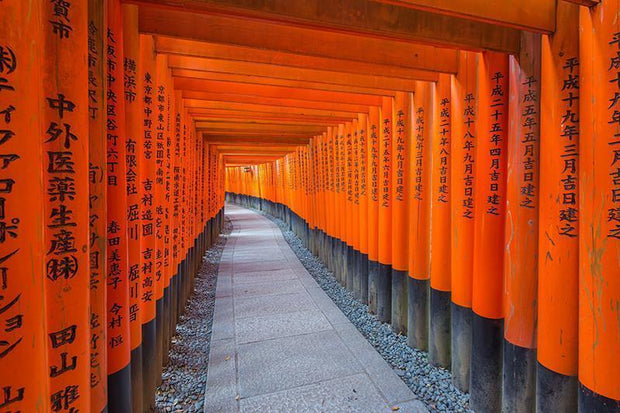 Japanese Torii Gate Trail Wall Mural-Landscapes & Nature,Zen-Eazywallz