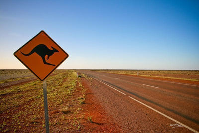 kangaroo crossing road sign Wall Mural-Landscapes & Nature-Eazywallz