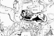 Leo Constellation Map Wall Mural-astrology-Eazywallz