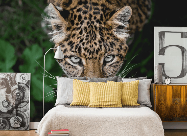 Leopard Eyes Wall Mural-Animals & Wildlife-Eazywallz