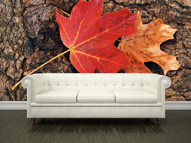 Maple leaves against the bark of a tree Wall Mural-Textures-Eazywallz