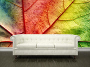 Multicolor leaf Wall Mural-Macro,Textures-Eazywallz