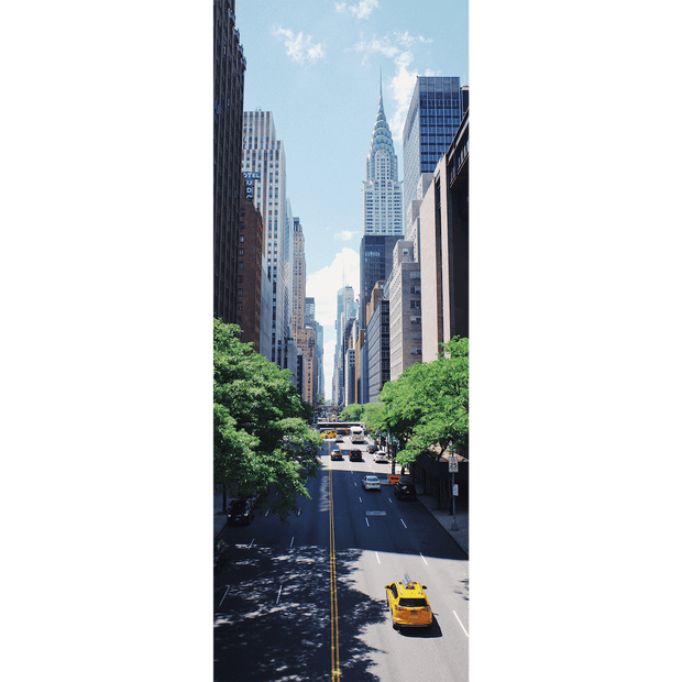 New York City Street Door Mural-Transportation-Eazywallz