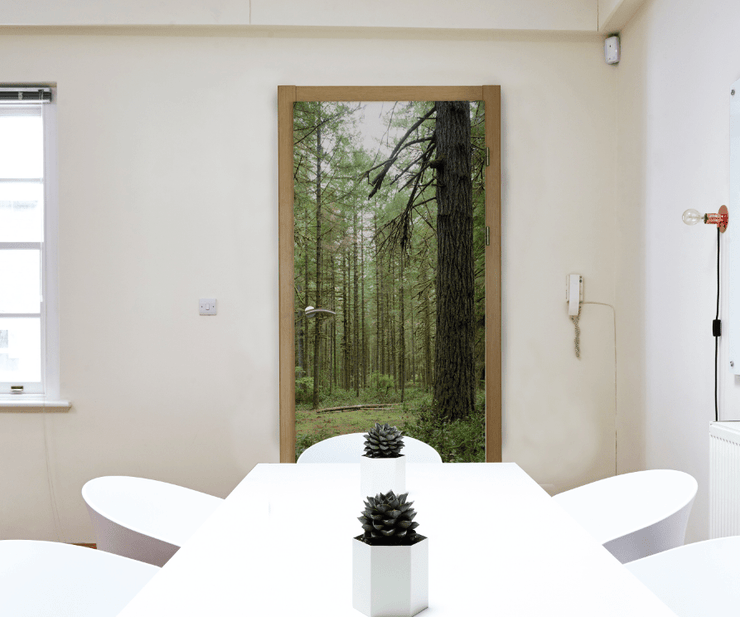 Oregon Forest Trail Door Mural-Landscapes & Nature-Eazywallz