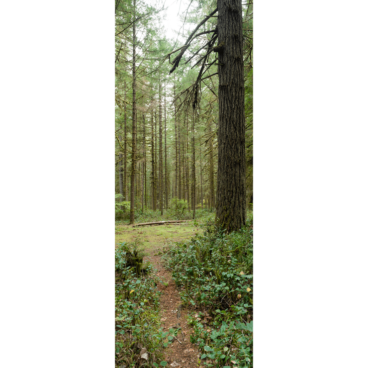 Oregon Forest Trail Door Mural-Landscapes & Nature-Eazywallz