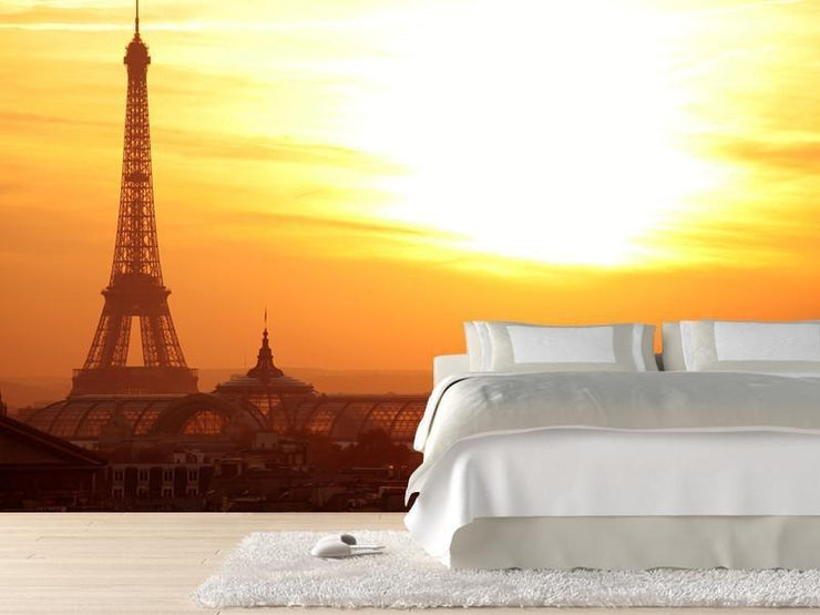 Paris at sunset Wall Mural-Buildings & Landmarks,Cityscapes,Landscapes & Nature-Eazywallz