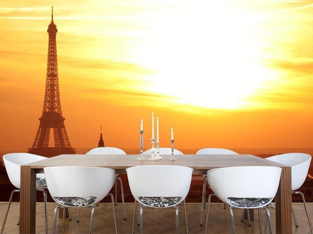 Paris at sunset Wall Mural-Buildings & Landmarks,Cityscapes,Landscapes & Nature-Eazywallz