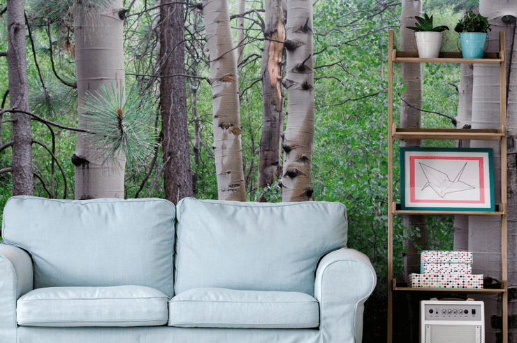 Pine Forest Wall Mural-Landscapes & Nature-Eazywallz